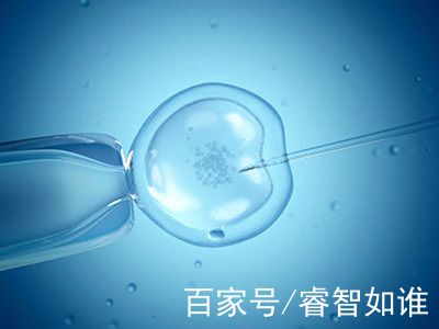 靠谱代怀服务联系电话